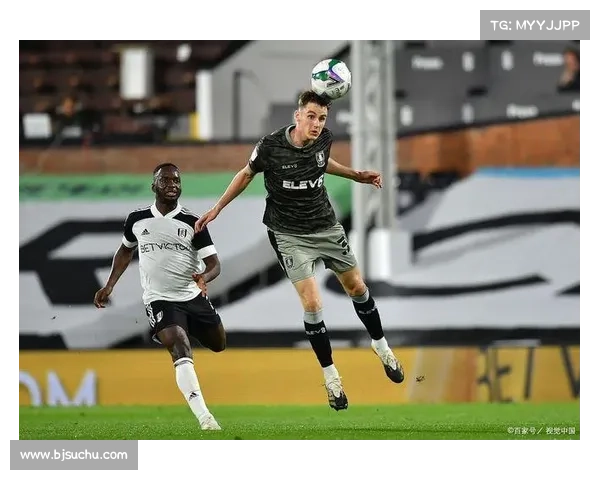 伯明翰市政府提议以2011年英联杯冠军命名建设足球文化主题公园